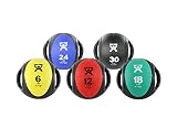 CanDo Dual-Handle Medicine Ball 5 piece Set