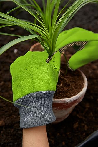 HABA 304510 Terra Kids Arbeitshandschuhe, Arbeitshandschuhe, Handschuhe Größe 5.5, mit Latexnoppen, transparent