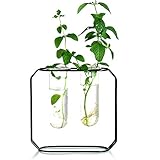 Ivolador Modern Metal Frame Test Tube Vase Planter Terrariums Decorations for Living Room (Black)