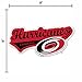 Rico Industries NHL Carolina Hurricanes Distressed Shape Cut Pennant - Home and Living Room Décor - Soft Felt EZ to Hang