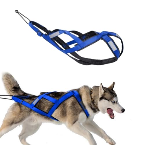 Pettorina da traino per cani con strisce riflettenti, pettorina impermeabile per slitta, pettorina per esercizi con cani, sci e slitta, per Cani-MTB (blu, 3XL)