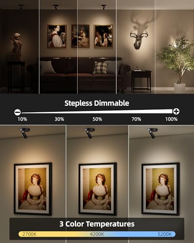 Image of EZVALO Spotlights Indoor with Remote, 5500mAh Rechargeable Picture Lights, Wireless Uplights with Timer & Dimmable, 3-CCT, Accent Lighting for Plant, Art, Painting, Gallery, Wall Decor (2-Pack Black)