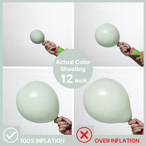 image for PartyWoo Dusty Green Balloons 100pcs Different Sizes Pack of 18 12 10 