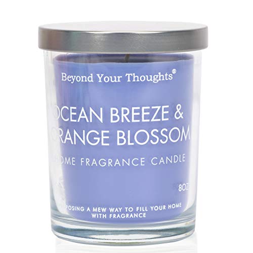 Beyond Your Thoughts Scented Candles Jar Candle Natural Aromatherapy Soy and Paraffin Wax 100% Cotton Wick Mixed Popular Fragrances OceanBreeze&Orange Blossom