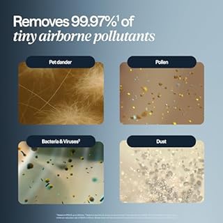 BLUEAIR Air Purifiers for Small Rooms, Bedroom, Home, Cleans 926 sqft in one hour, HEPASilent Air Cleaner for Pets, Allergens, Dust, Mold, Smoke - Blue Pure 511i Max