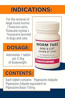 Dog & Cat Dewormer Tablets – Over‑The‑Counter Broad‑Spectrum Treats for Roundworm Control, 12‑Count (for Dogs & Cats)