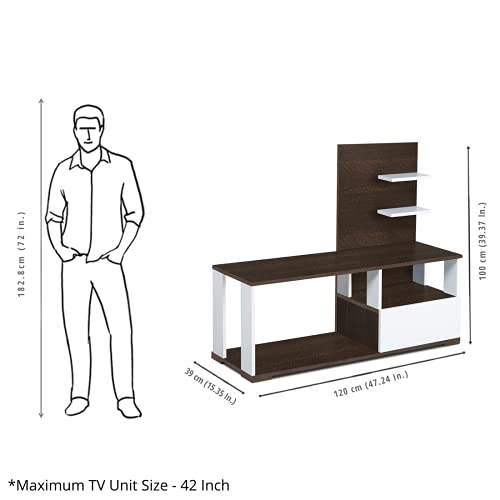 Image of DELITE KOM Elsa Engineered Wood TV Entertainment Unit (Finish Color - Flowery Wenge White, Knock Down) (39x120x100)
