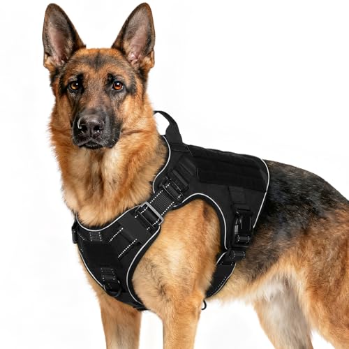 rabbitgoo Tactical Dog Harness for Large Dogs, Upgraded No-Pull Heavy Duty Vest with Handle & Molle System, Adjustable Reflective Military Service Harness for Training Hunting Hiking, Black, XL