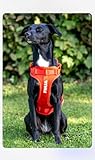 CLEVER DOG Performance Hundegeschirr personalisierbar – atmungsaktiv, verstellbar, 100% passgenau, giftfrei, mit Leinenanschluss, für alle Hunderassen, langlebig, komfortabel & umweltfreundlich