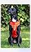 CLEVER DOG Performance Hundegeschirr personalisierbar – atmungsaktiv, verstellbar, 100% passgenau, giftfrei, mit Leinenanschluss, für alle Hunderassen, langlebig, komfortabel & umweltfreundlich