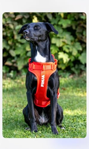 CLEVER DOG Performance Hundegeschirr personalisierbar – atmungsaktiv, verstellbar, 100% passgenau, giftfrei, mit Leinenanschluss, für alle Hunderassen, langlebig, komfortabel & umweltfreundlich