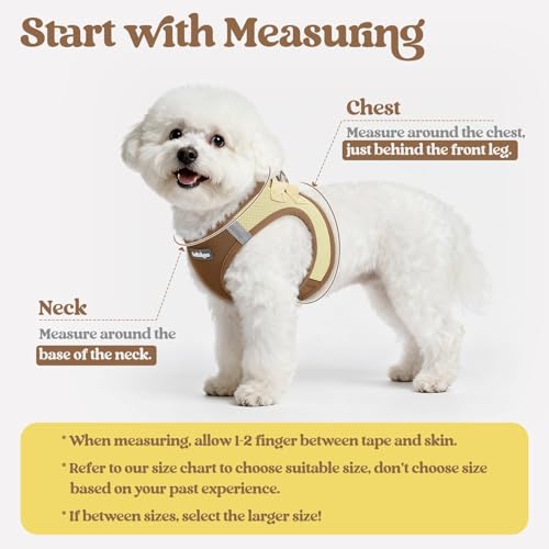 Image of rabbitgoo Dog Harness Small Sized and Leash Set, Step-in Puppy Pet Vest