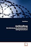 Justizvollzug: Die Einbindung des Sozialdienstes in Gefängnisstrukturen