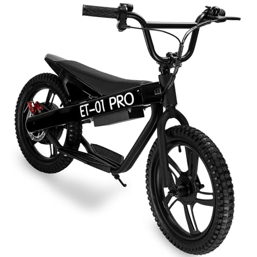 Electric Bike for Kids, 350W Motor, 36V 5.2/7.8Ah E-Bikes
