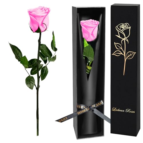 Single Forever Roses Luxury Gift for Women/Men, Birthday Gifts for Women,Flowers Gifts for Girlfriend,Wife,Mom,Anniversary,Valentine's Day,Wedding,Graduation,Presents for Her,Red