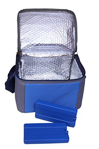 Image of BagsRUs Polyester Insulated Portable Cooler Bag with Free Ice Pack, 11L, Royal Blue