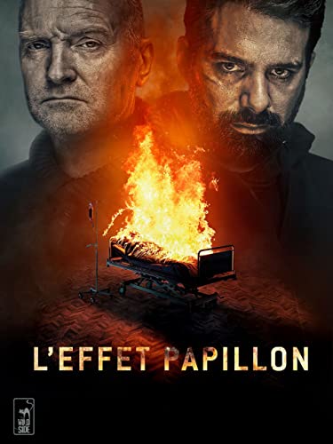 Les enquetes du departement v : l'effet papillon