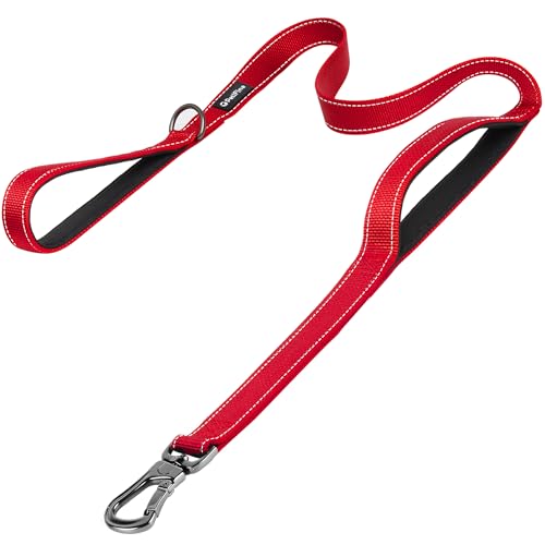 PetiFine 6FT Heavy Duty Dog Leash with Soft Padded Double Handle, Durable Strong Clasp Dog Leashes, Reflective Nylon Walking Lead for Large,Medium,Sma