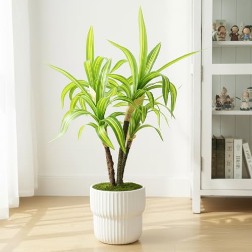 Image of KARP Artificial Potted Plants, 45Cm Height Faux Dracaena Fragrans Massangeana Plant with White Pot Home Decor, Indoor Artificial Ornamental Plants for Living Room, Office Desk & Bathroom, Decorative