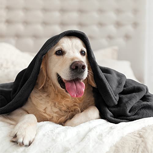 Bedelite BEUSC1SDB1TH Fleece Blanket Black Throw Blankets For Couch & Bed, Luxury Plush Cozy Fuzzy Blanket 50X60 Inches, Super Soft Warm Lightweight Throw Blanket For Travel Camping thumb #6