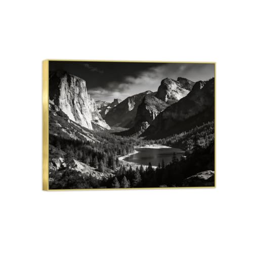 Tableau cadre doré arbre montagne noir et blanc paysage sur toile haut de gamme 60x80cm
