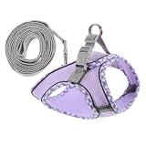 EXAOMBLE 1Ensemble Chiot Et Laisse Set Décoratif Pour Xs Fugue