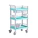 MERTNK Camions À Main de Rangement, Chariots Mobiles de Cuisine, Portables Avec Tiroirs Bucket Beautbeauty Salon Chariot À Roulettes Sur Roue, 220-330Lbs Capacité de Charge/Green/54 * 37 * 98Cm