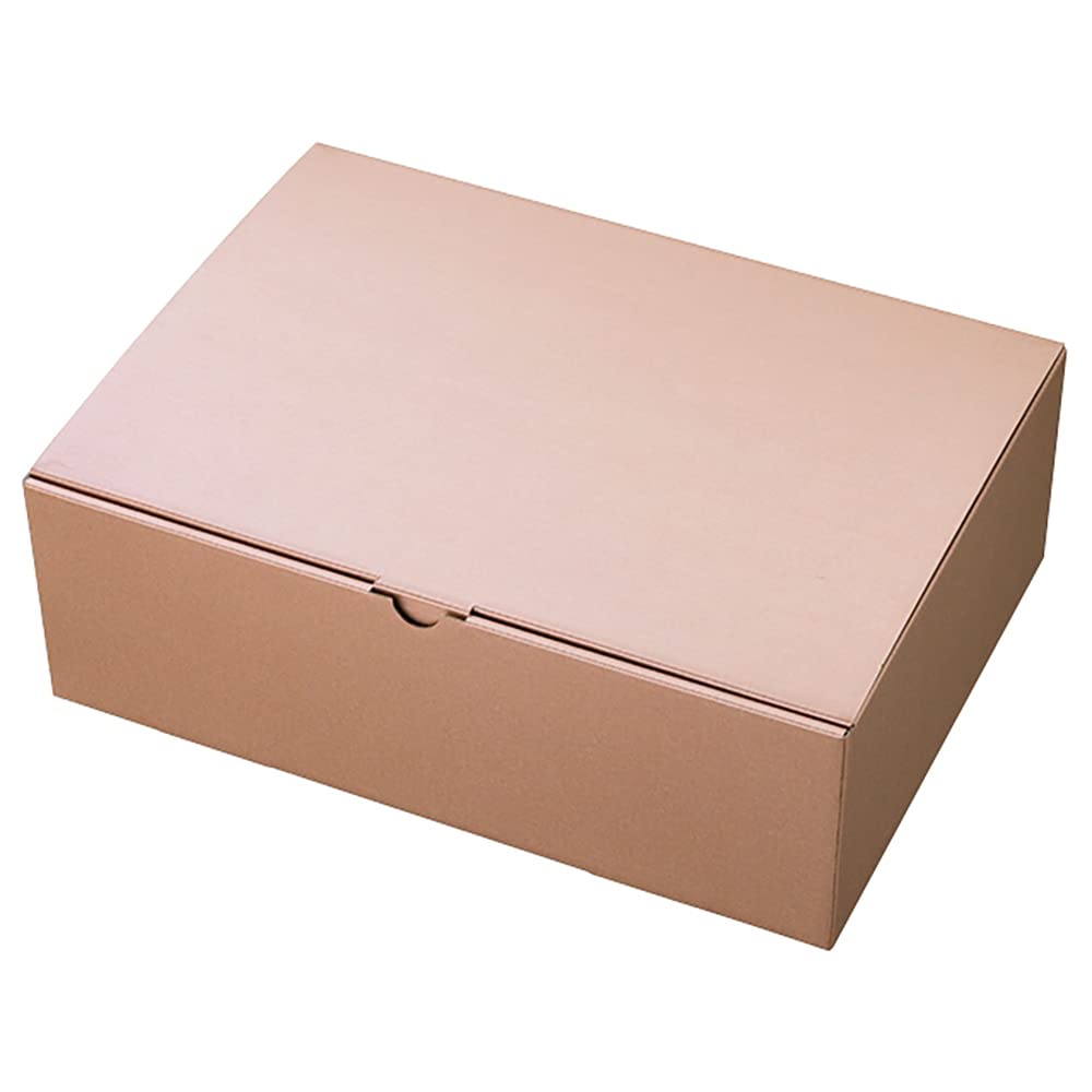 Heads MCP-LGB1 Plain Gift Box, 13.6 x 4.5 x 9.6 inches (34.3 x 11.5 x 24.5 cm), Champagne Pink Gift, 10 Pieces, Elegant, Natural, Simple