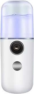 Nano Mist Sprayer Handheld Portable Facial Mist Sprayer Face Steamer Deep Moisturzing Mini Humidifier for Home Work Travel