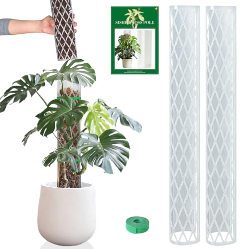 Sisher 2 Pack 16 Inch Plastic Moss Poles for Climbing Plants D Shaped Moss Pole Work with Sphagnum Moss Sticks for Indoor Plants Moss Pole Monstera Plant Support with Garden Ties