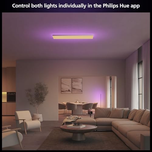Image of Philips Hue Datura Smart Ceiling Panel (Rectangular 11.81in x 47.24in) White & Color LED Ceiling Light, Bluetooth Compatible,Voice Control with Alexa, Apple Home & Google Assistant