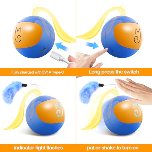 Jouet interactif pour chat premium MystiChaser de haute qualité - 7