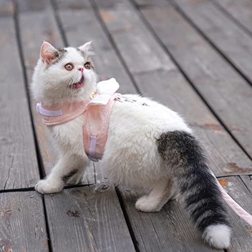 Trela ​​de Arnês de Gato Ajustável, à Prova de Ruptura, Leve, Respirável, Asas de Anjo, Arnês de Col