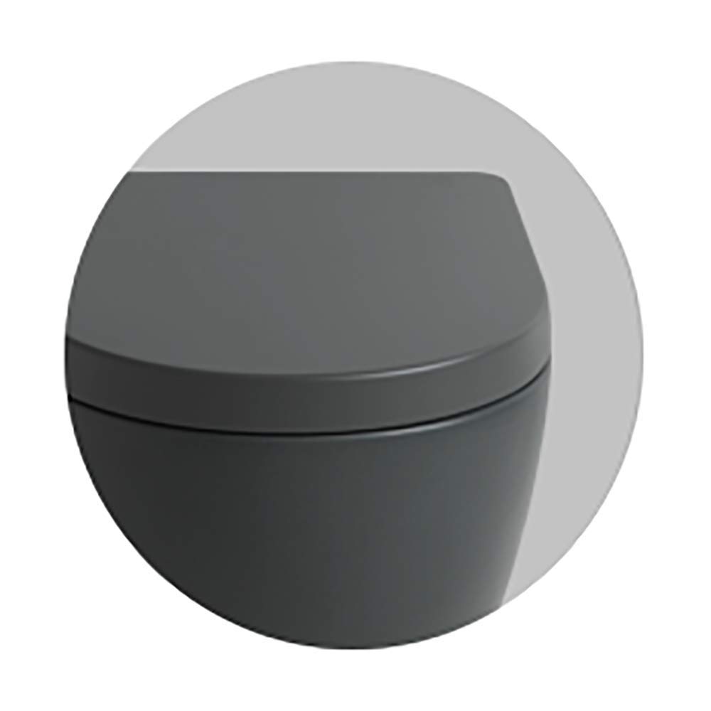 Vaso Wc Bagno Terra Filo Muro Senza Brida traslato File 2.0 in Diversi Colori (Grigio Oliva)