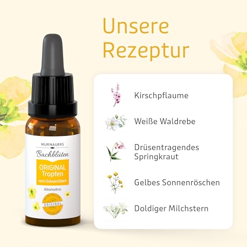 Murnauers Bachblüten Original Tropfen | 20ml | Alkoholfrei | Alltag in Balance | Hergestellt mit Original Bachblüten