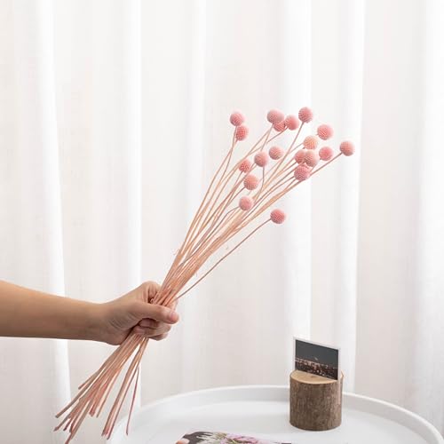 Flores Secas Billy Ball Craspedia Set 20 Piezas miniatura 5