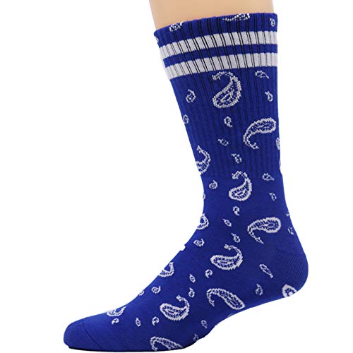 Paisley Bandana Pattern2