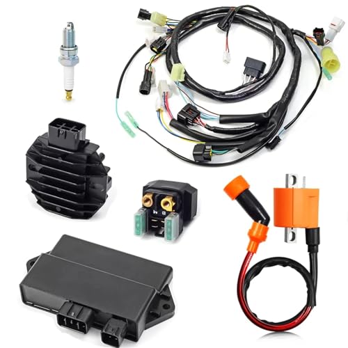 Bobine d'allumage CDI Yamaha Raptor kit câblage haute conductivité