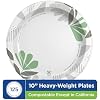 Dixie Pathways Soak Proof Shield Heavyweight Paper Plates, 10.13 Dia, Green/burgundy, 125/pack
