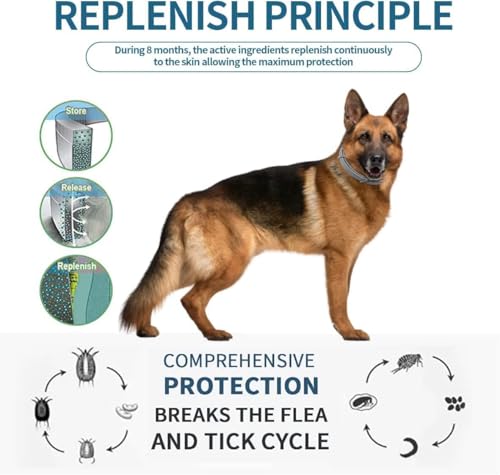 4 Pack Zecken- & Flohschutz Halsband Hunde Flohschutzhalsband für Hunde Zeckenhalsband Flohhalsband Schutzhalsband gegen Flöhe 8 Monate Schutz 63 cm verstellbar für alle Größen