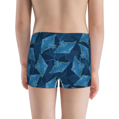 Boys' Cotton Boxer Brief Soft Underwear-Stingray3