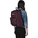 JanSport Ashbury Laptop Backpack,| Primavra Fields