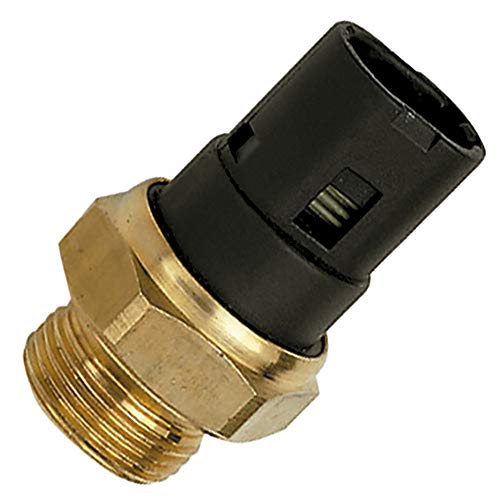 FAE 37250 Interruptor de Temperatura, Ventilador del Radiador