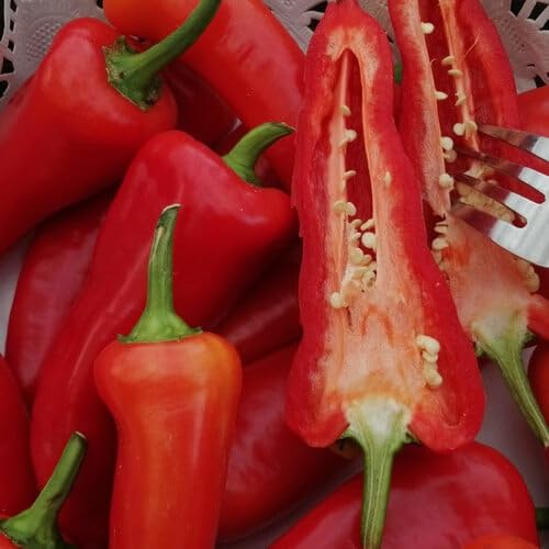 Plant World Seeds - Pepper Sweet Red Banana Seeds (Pepper Seeds)