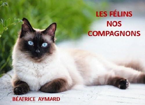 LES FÉLINS NOS COMPAGNONS
