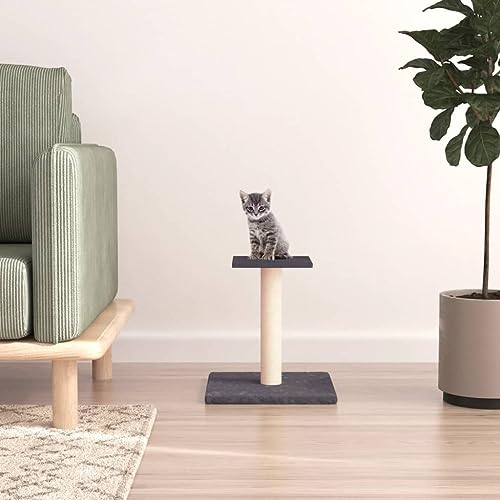 Arbre à chat avec plateforme : protégez vos canapés des griffures