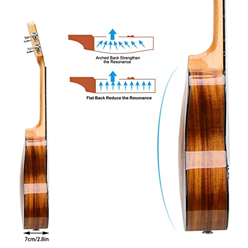 xinxinchaoshi Ukulele Ukulélé en Bois Massif de 23 Pouces avec Brillant Fini for Les débutants avec des Cordes de Sacs… - Les Beatles, Paul McCartney, John Lennon, RIngo Starr, George Harrison xinxinchaoshi Ukulele Ukulélé en Bois Massif de 23 Pouces avec Brillant Fini for Les débutants avec des Cordes de Sacs… – Image 6