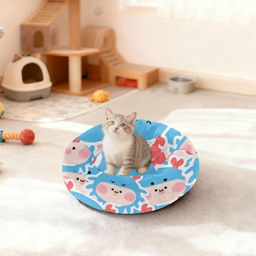 Lit chaud doux pour chien taille moyenne crabe bleu M