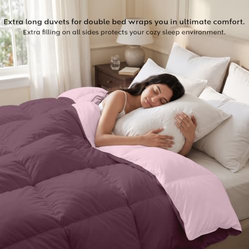 Image of AYKA Reversible Comforter 220 GSM Microfiber Reversible AC Comforter /Blanket for Winter /Quilt /Dohar /Duvets for King Size Blanket /Comforter Double Bed (Cameo & Plum, 90 * 100 inch)
