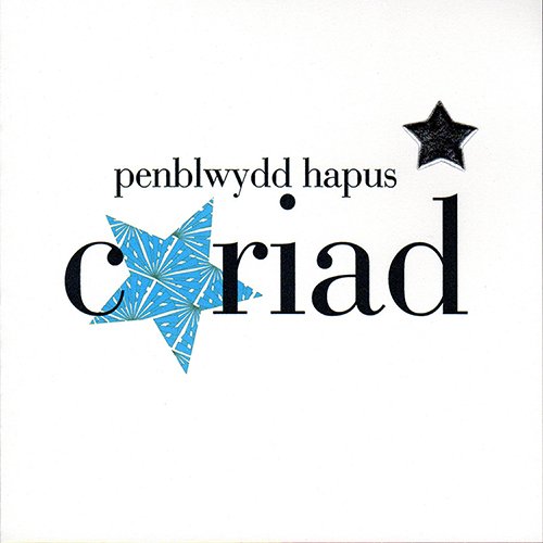 Penblwydd Hapus Cariad, Welsh Birthday Card, Birthday Card For A - View #2